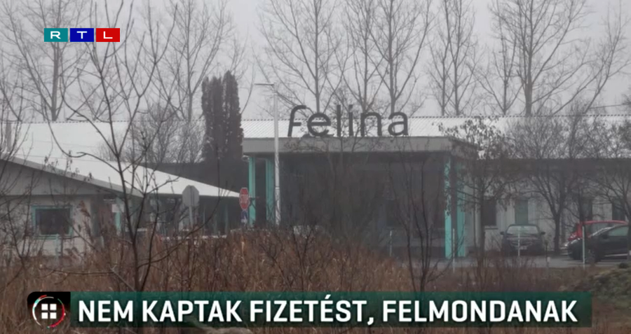RTL Felina2026 Egyedi
